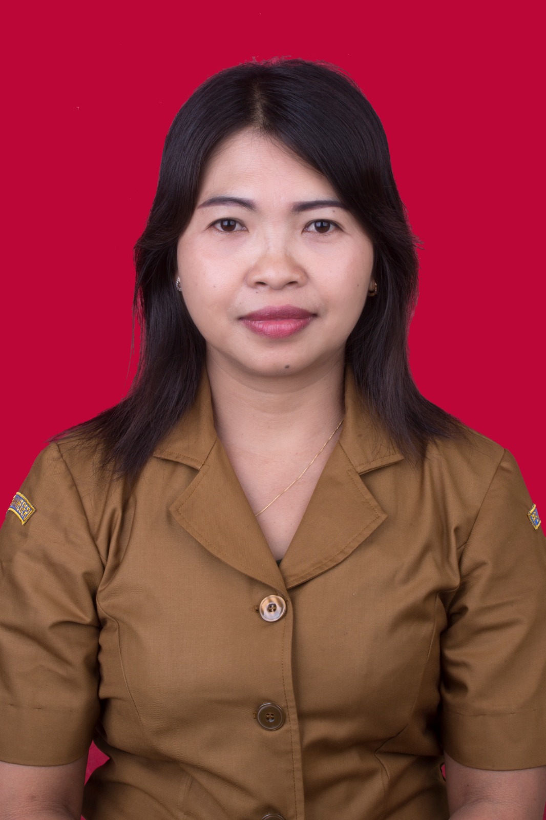 NI MADE WIDARIANI